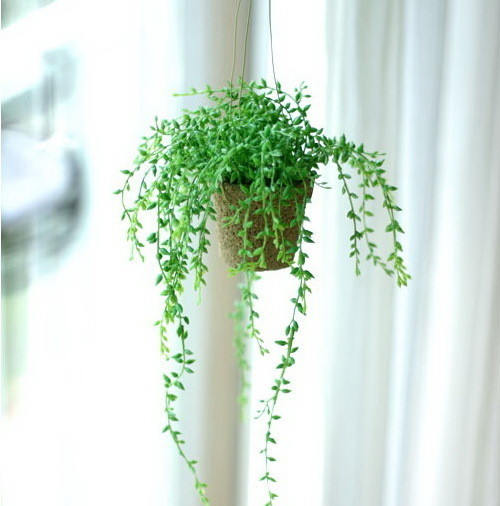 怎样选择风水师